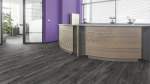  Eurowood (),  Prima ()