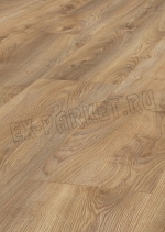  Eurowood (),  Prima ()