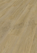  Eurowood (),  Maximo ()