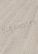  Eurowood (),  Maximo ()