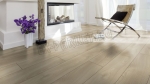  Eurowood (),  Maximo ()