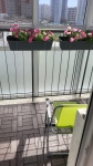      CM Garden    